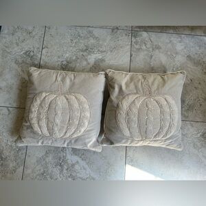 Cream/Beige Pumpkin Embroidered Throw Pillows (set of 2)